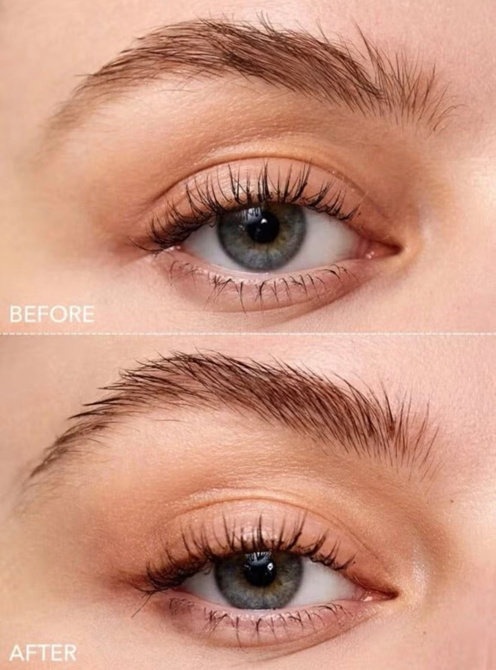 SHEGLAM Brow Gel Kit